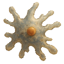 Microbe