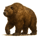 Mammal