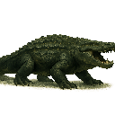 Reptile