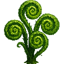 Land Plants