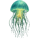 Sea Life